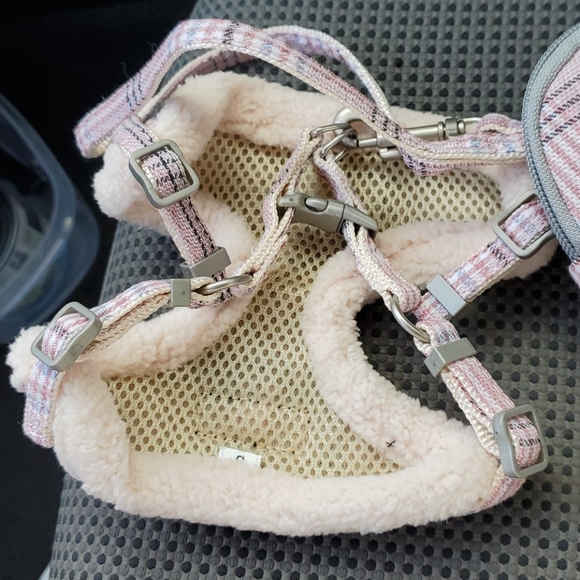 Dog ๐ walker - Picture 4 of 4